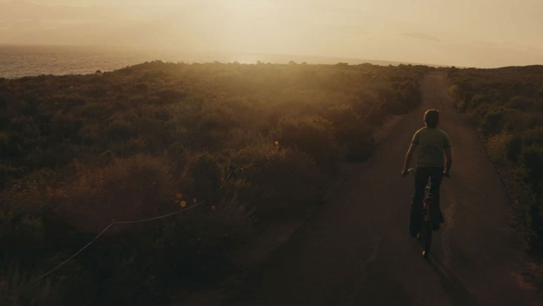 Jesus Revolution backdrop 6