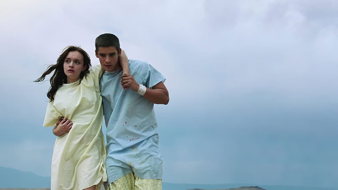 The Signal backdrop 1