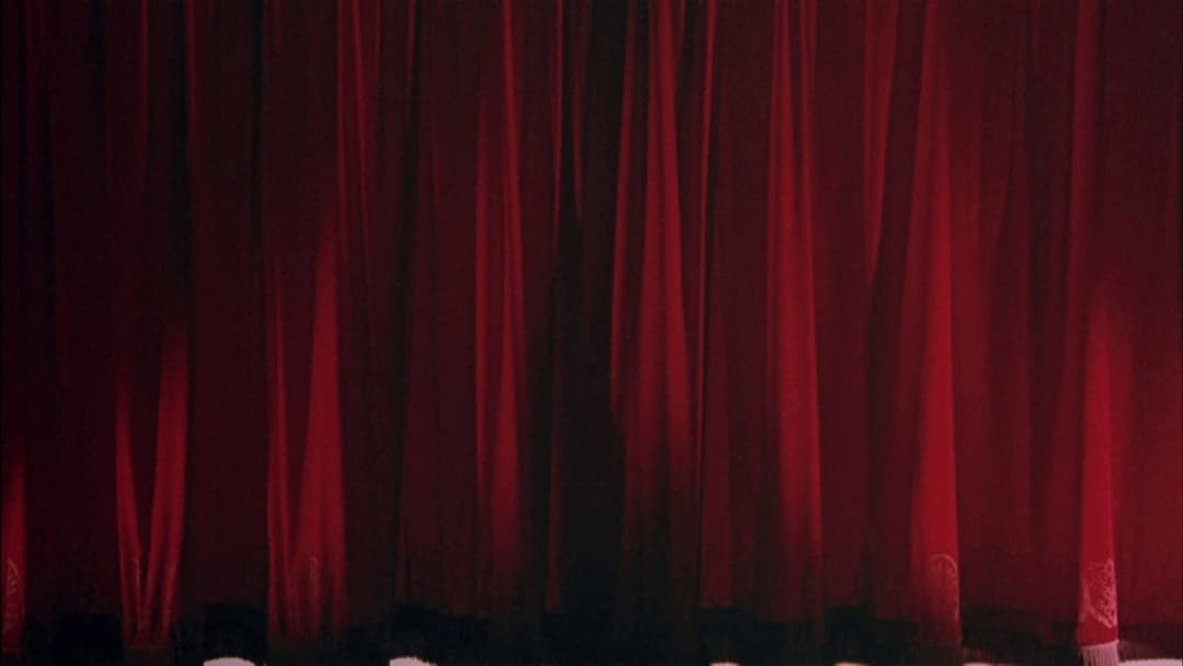 Strictly Ballroom backdrop 14