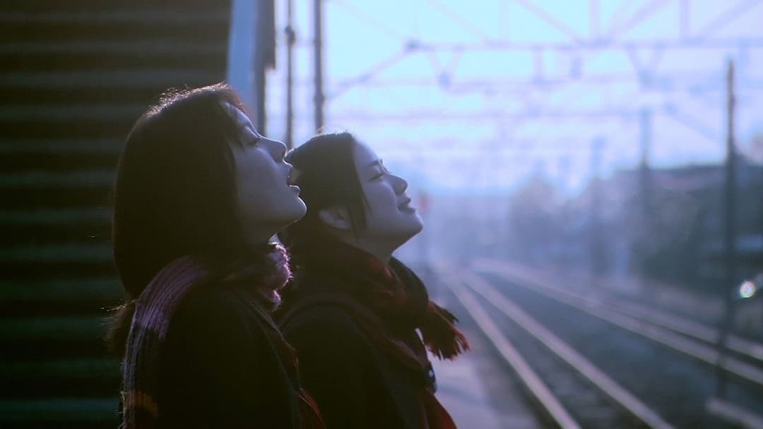 花とアリス backdrop 4