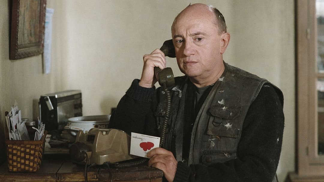 Je vous trouve très beau backdrop 6