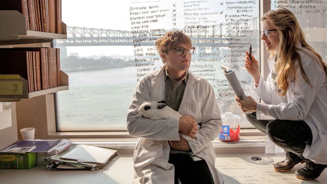 I Origins backdrop 14