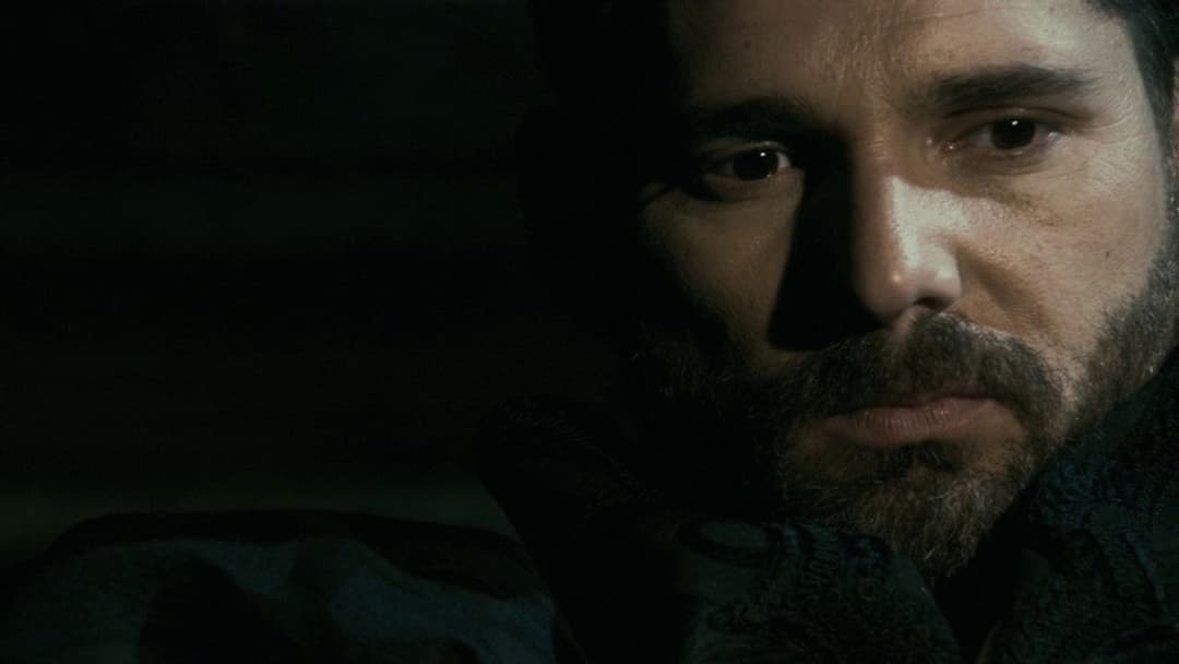 Die Schwester der Königin backdrop 13