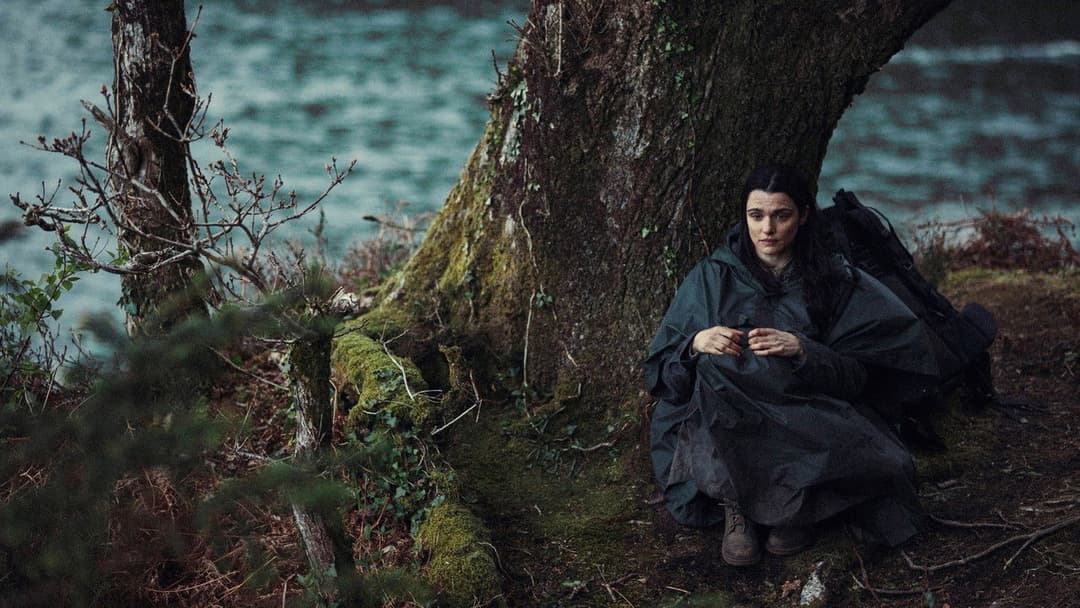 The Lobster backdrop 13