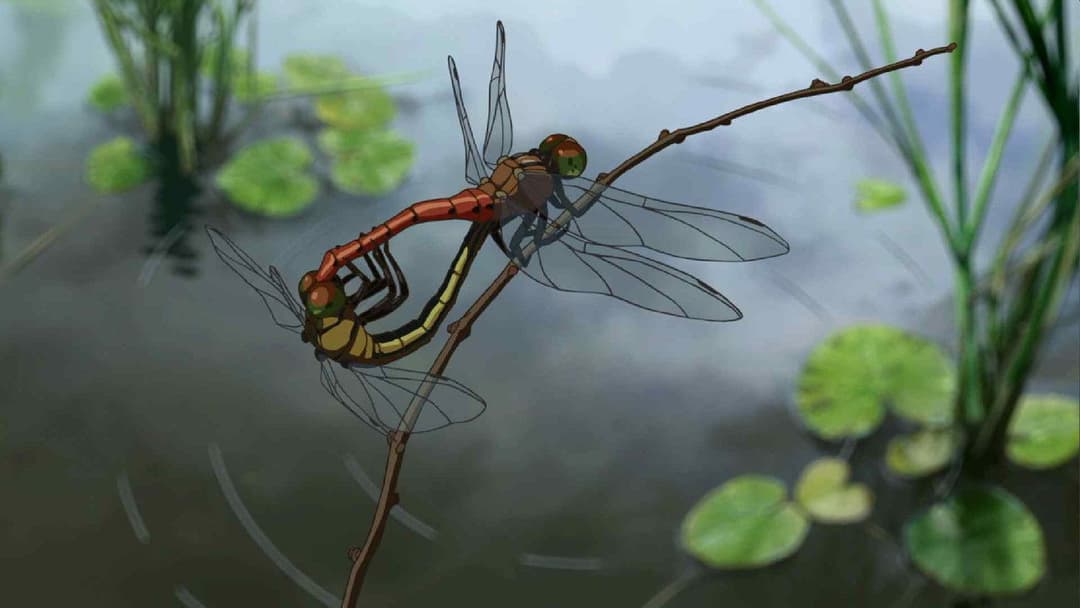 Children Who Chase Lost Voices backdrop 12