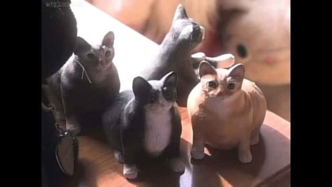 Ju-on: The Curse backdrop 8