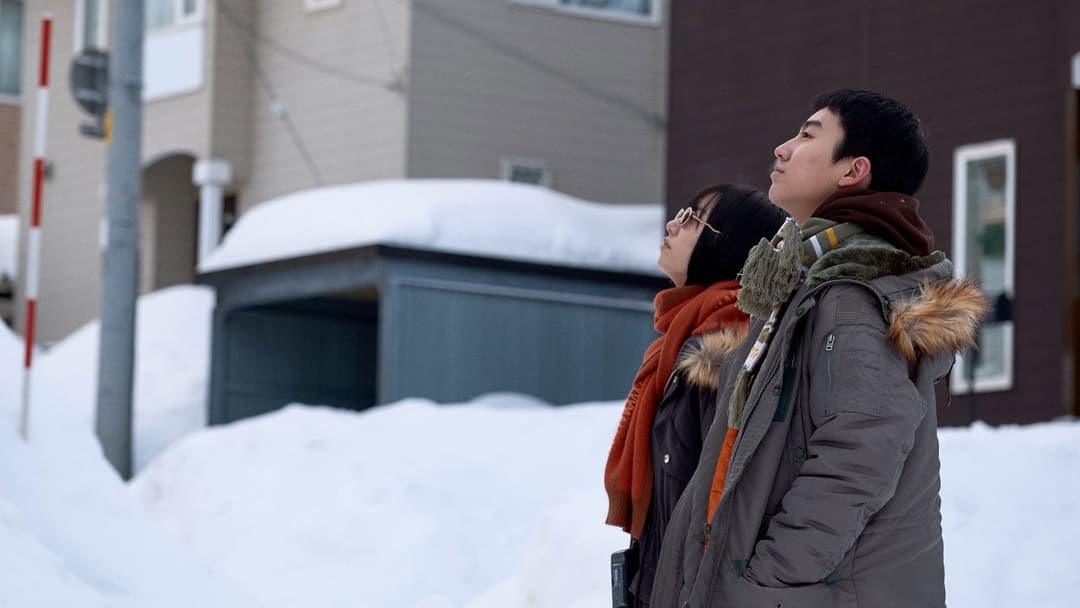 Moonlit Winter backdrop 18