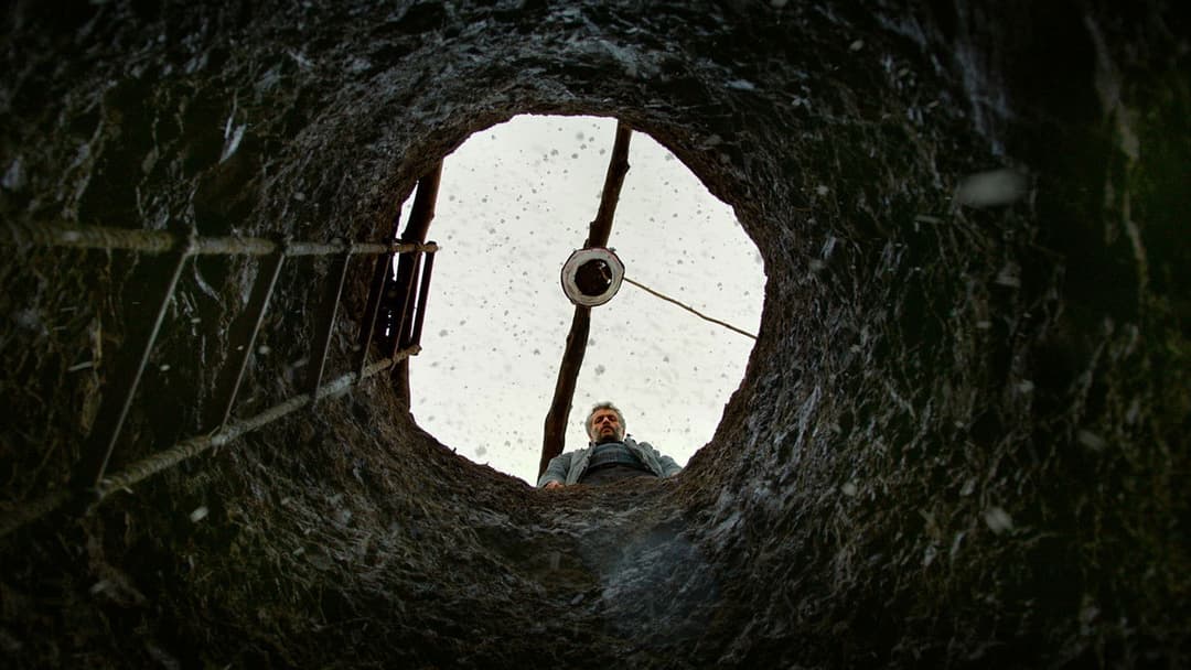 The Wild Pear Tree backdrop 8