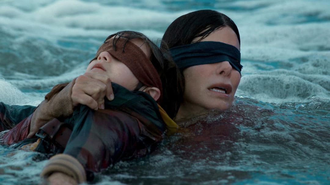 Bird Box backdrop 15