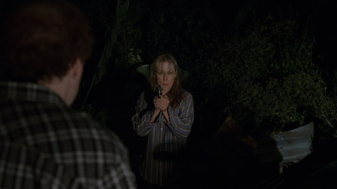 Adaptation. backdrop 17