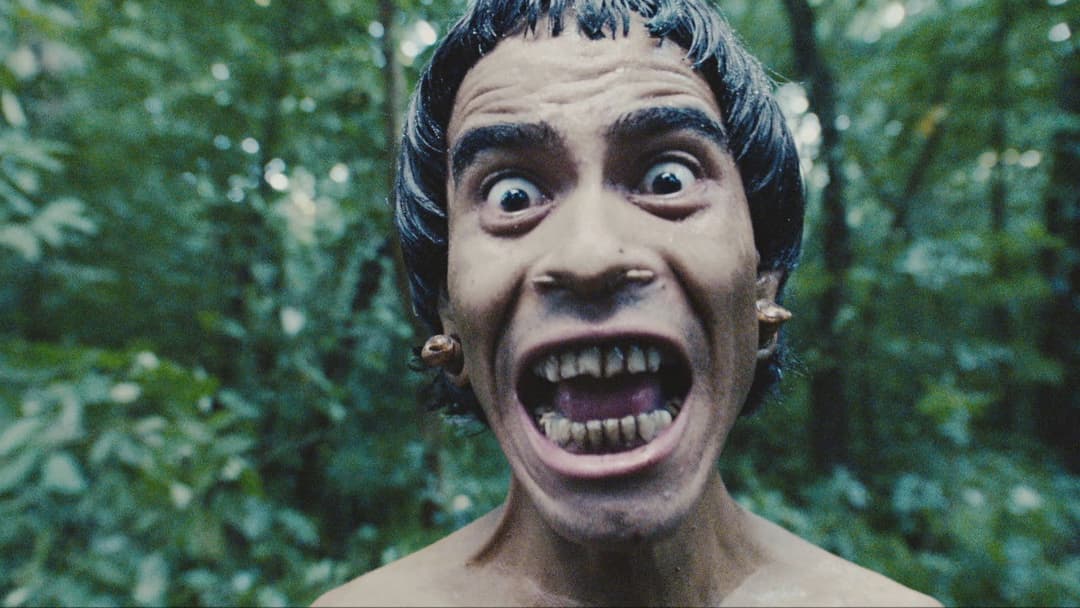 Apocalypto backdrop 19