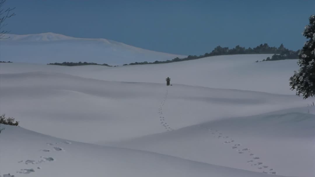 Millennium Actress backdrop 20