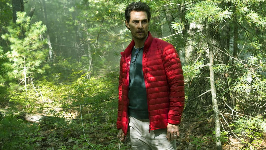 Море дерев backdrop 5