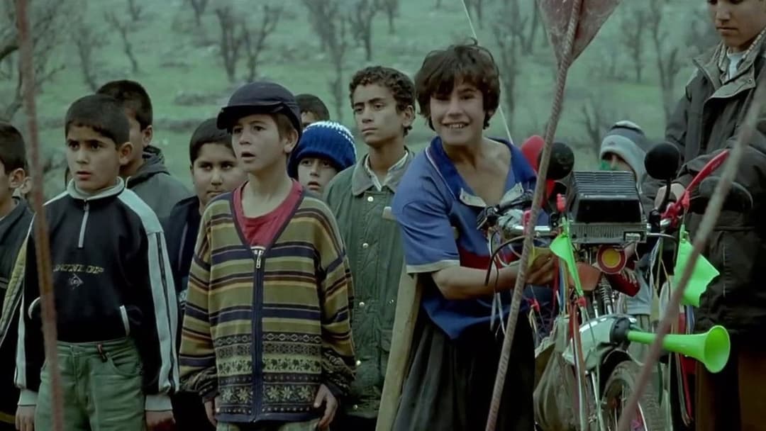 Turtles Can Fly backdrop 10