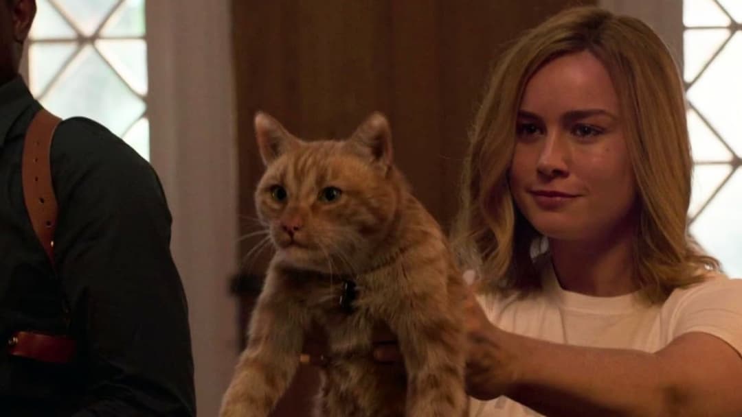 Captain Marvel backdrop 18