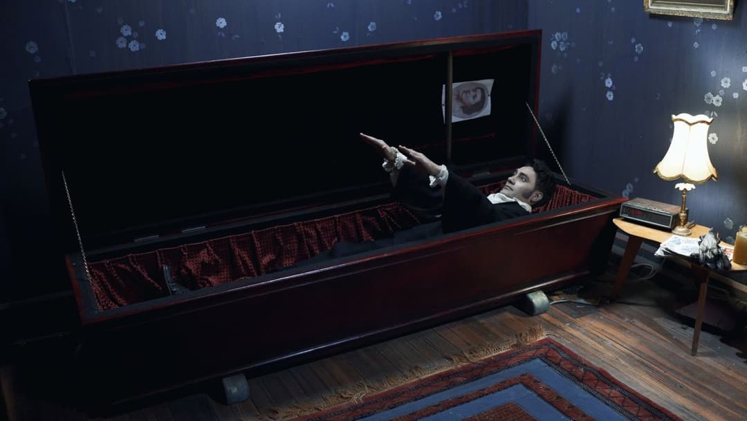 5 Zimmer Küche Sarg backdrop 12