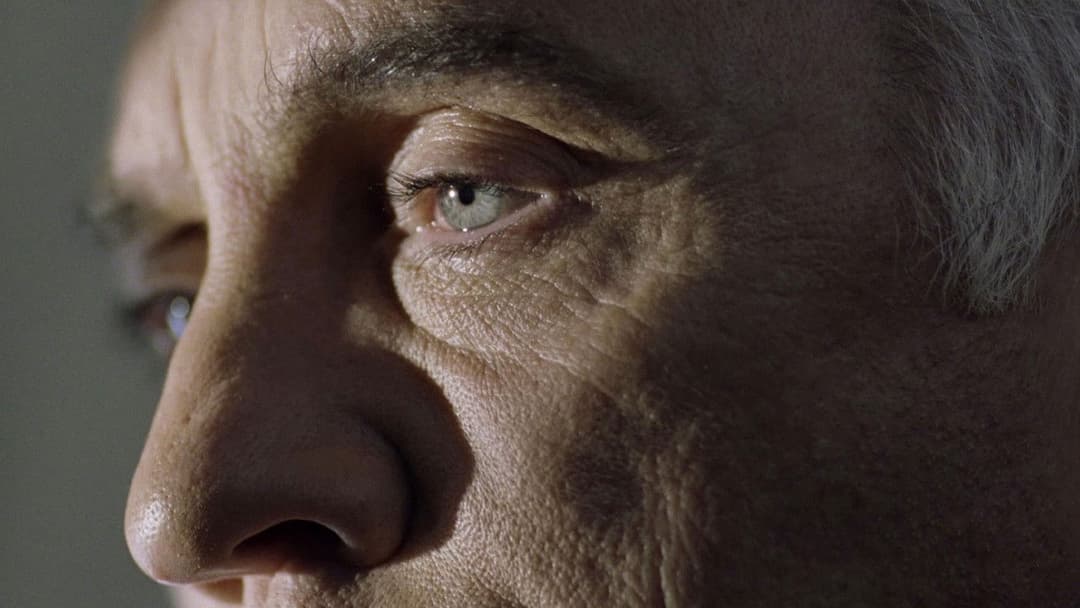 The Limey backdrop 7