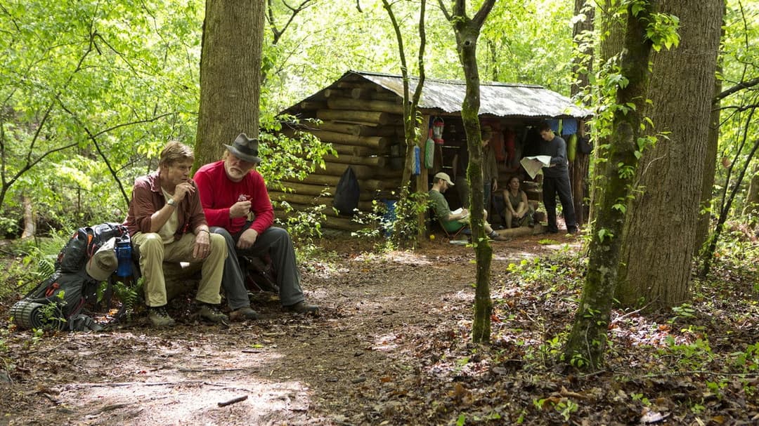 Picknick mit Bären backdrop 9
