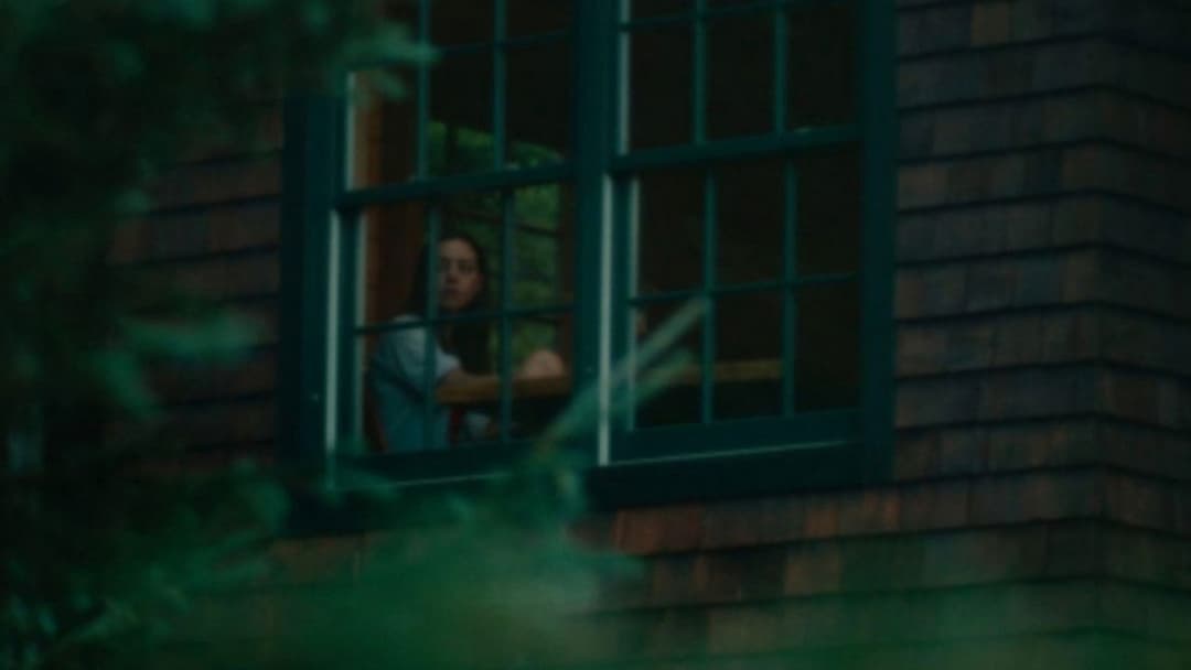 Black Bear backdrop 14