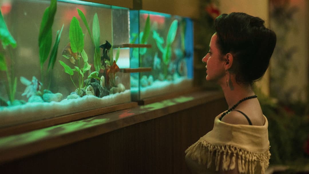 Invisible Life backdrop 9