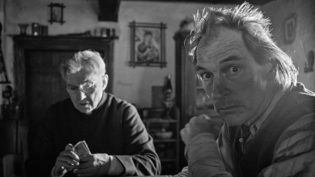 The Painted Bird backdrop 8