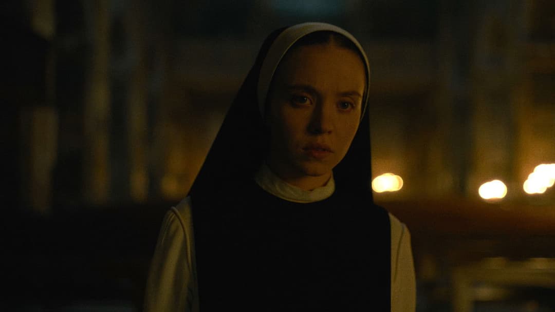 Immaculate backdrop 17