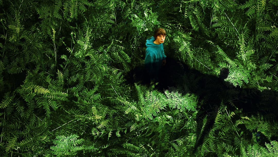 The Animal Kingdom backdrop 8