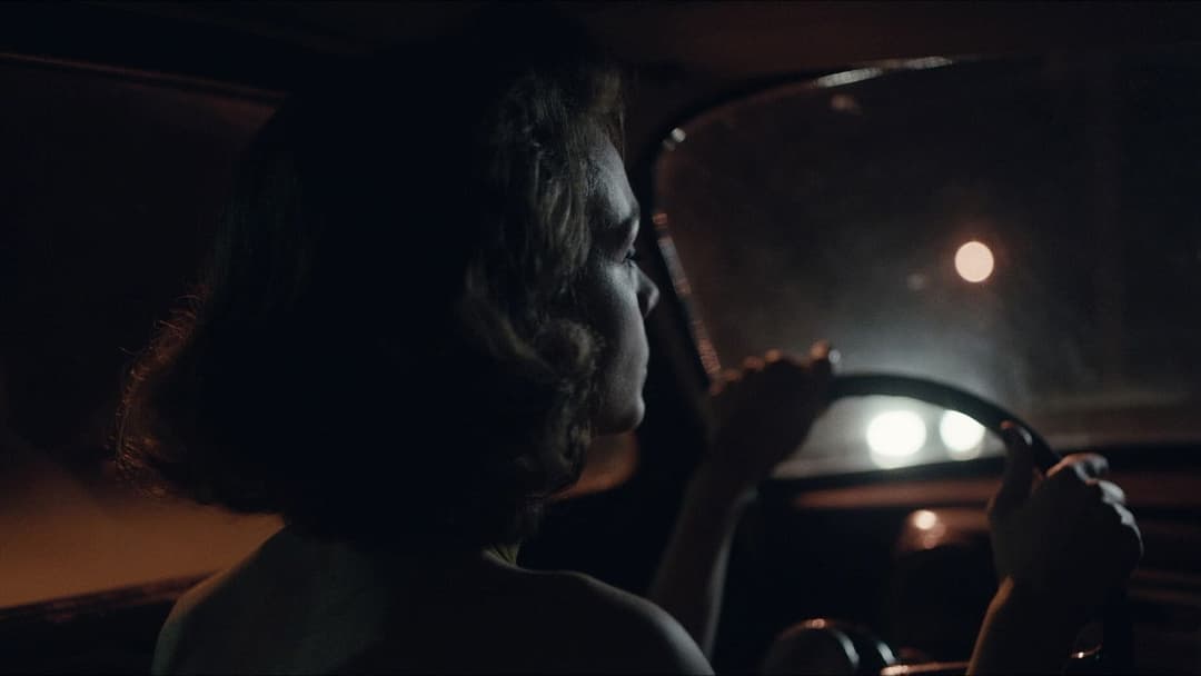 Дике життя backdrop 11