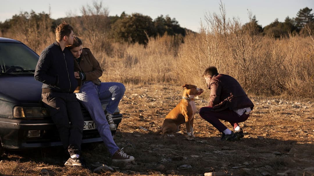 Junkyard Dog backdrop 4
