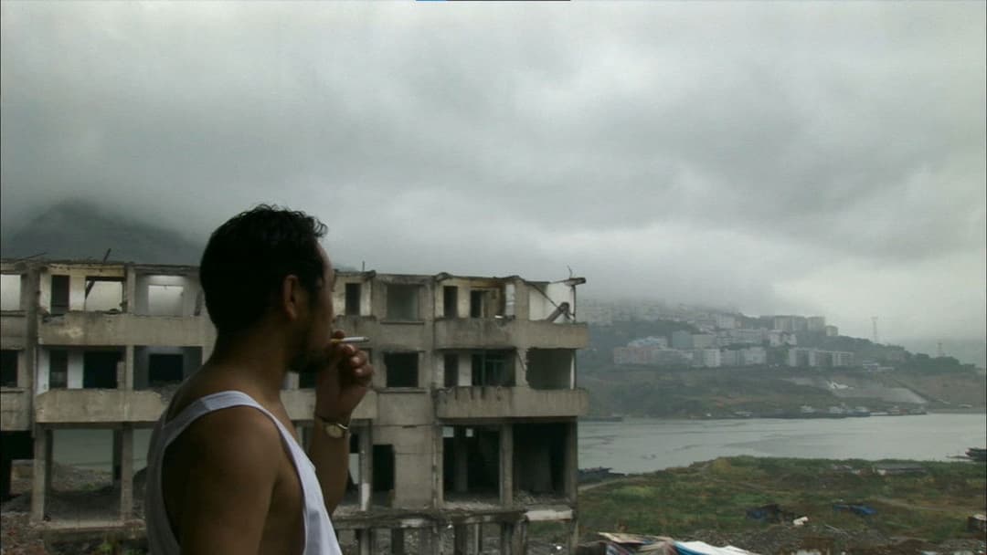 Still Life backdrop 7