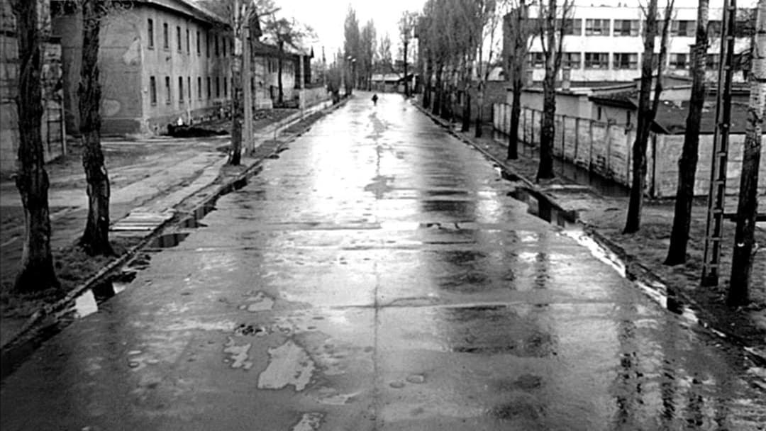 Satantango backdrop 17