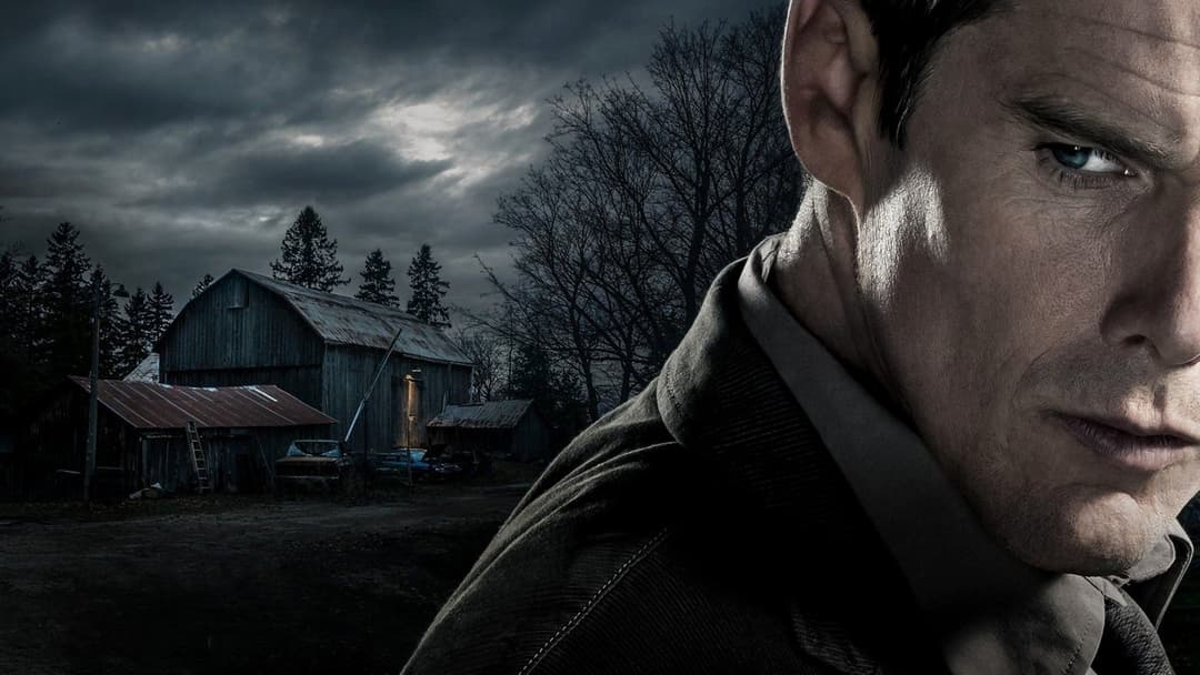 Regression backdrop 2