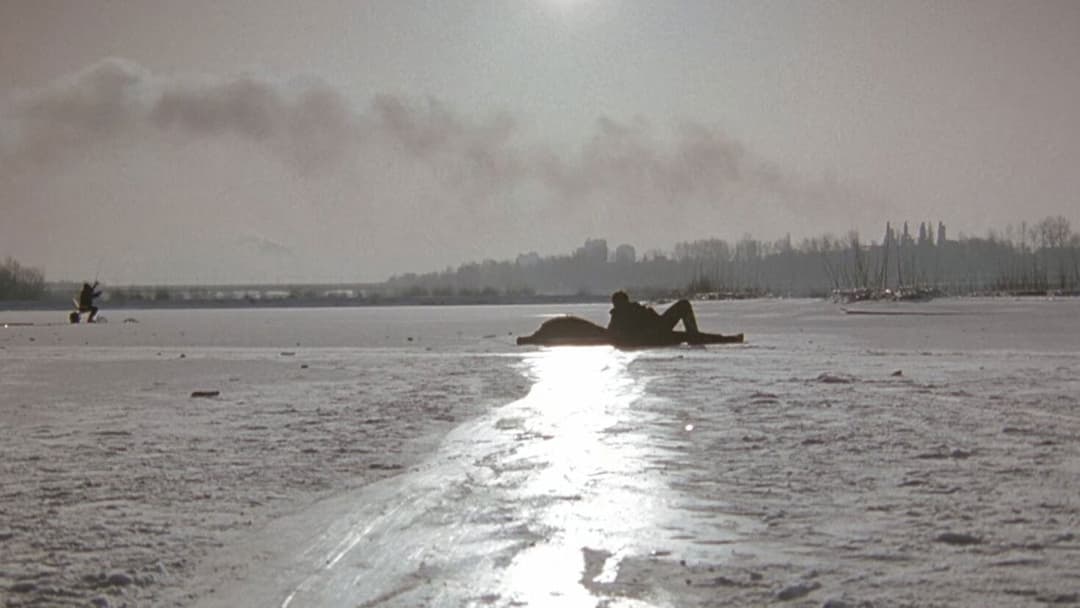 Drei Farben: Weiß backdrop 10