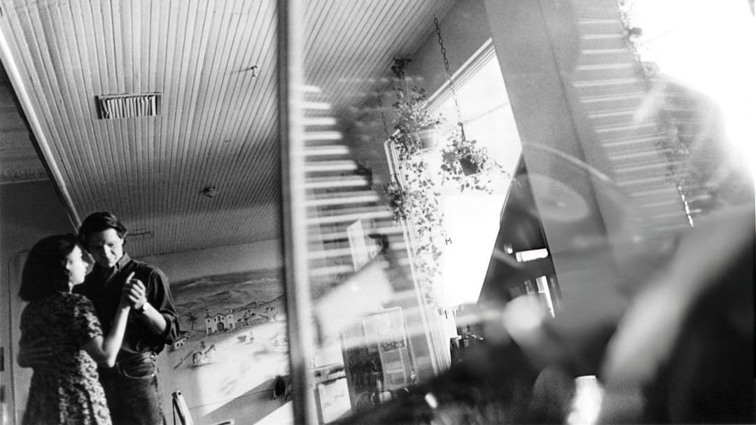 Lone Star backdrop 13