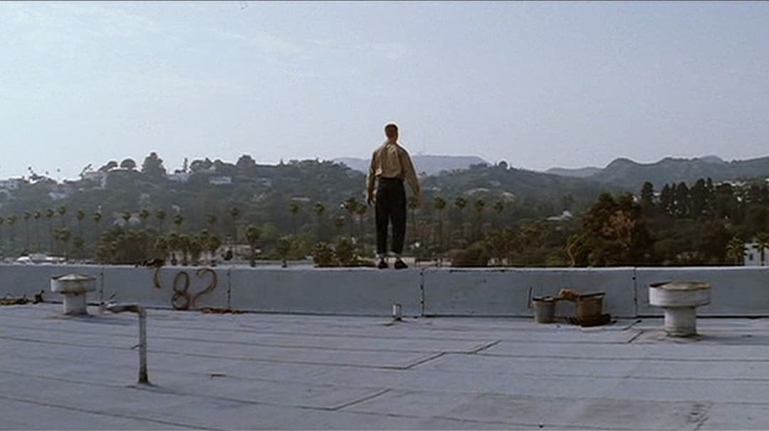 Magnolia backdrop 12