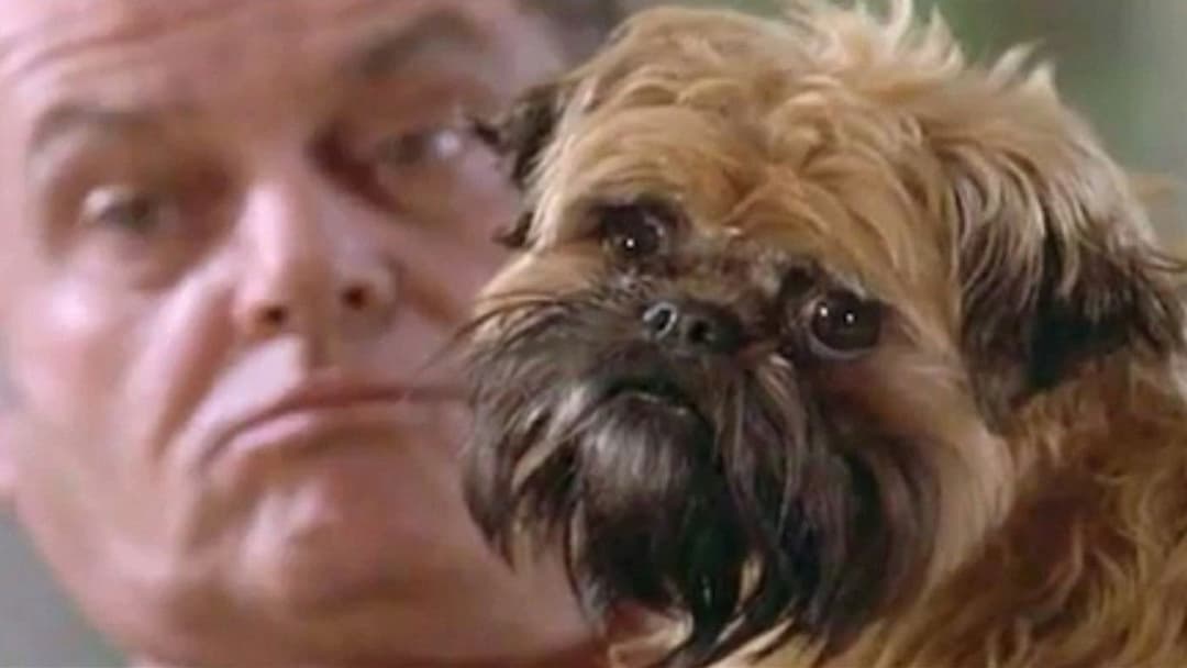 Besser geht's nicht backdrop 5