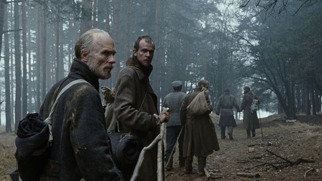 Шлях додому backdrop 6