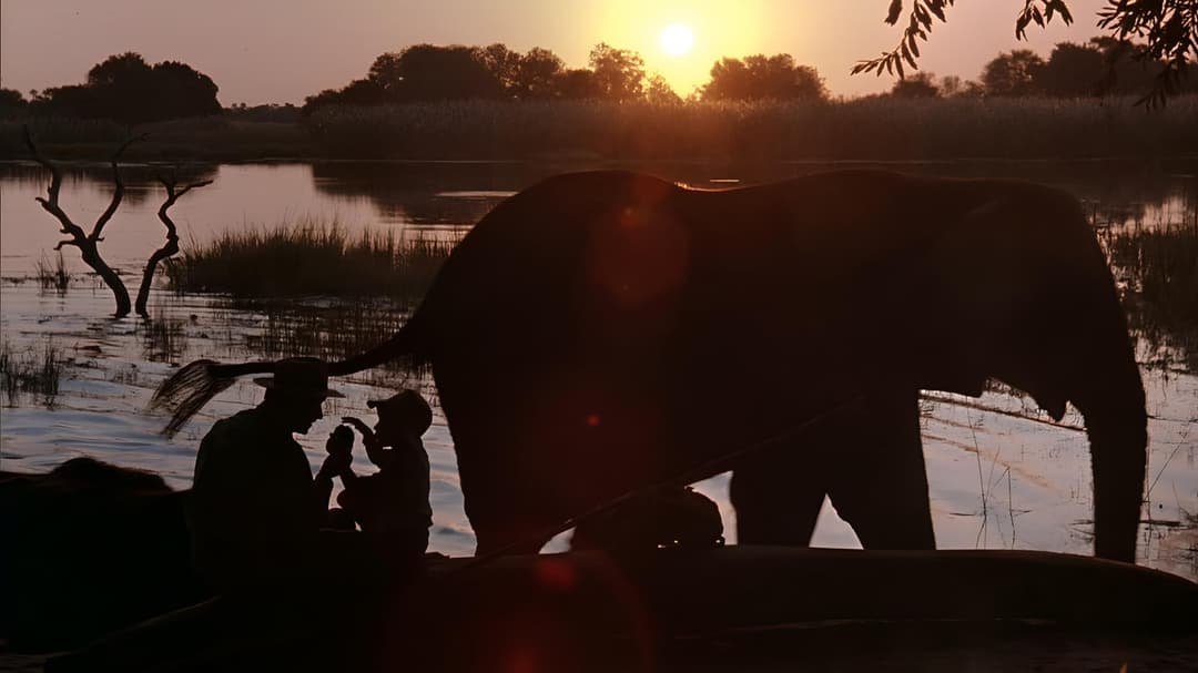 Im Glanz der Sonne backdrop 15