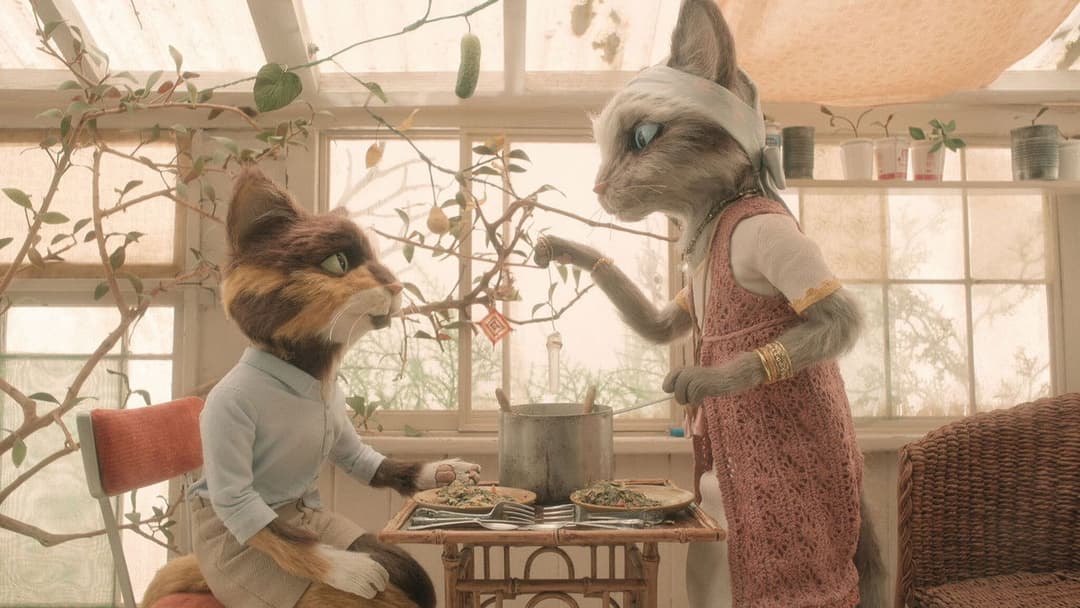 The House backdrop 14