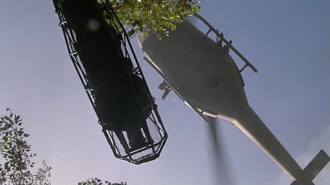 Драбина Якова backdrop 16