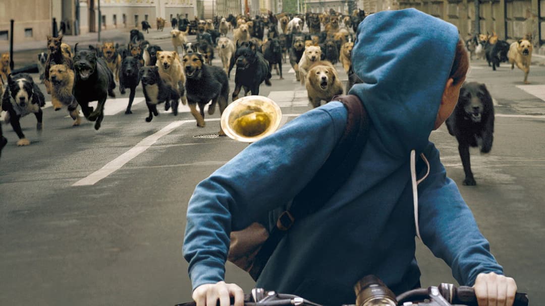 Білий бог backdrop 1