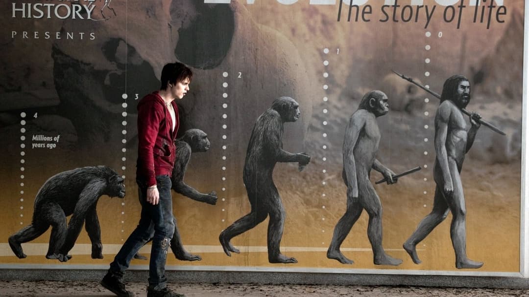 Warm Bodies - Zombies mit Herz backdrop 15