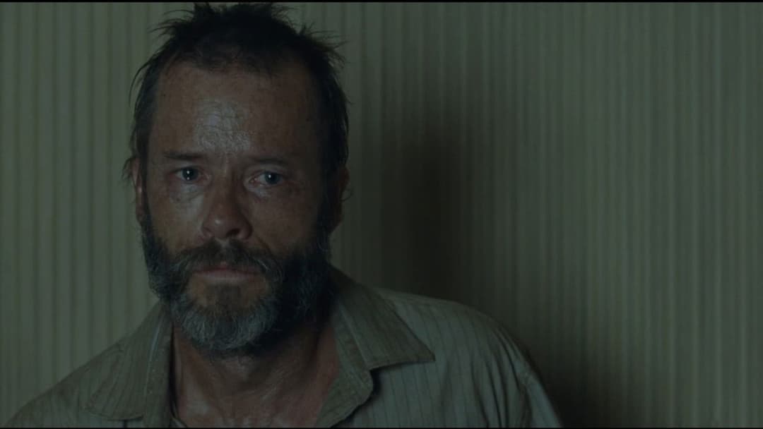 The Rover backdrop 9