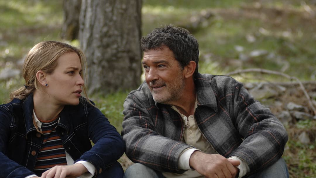 Чорний метелик backdrop 16