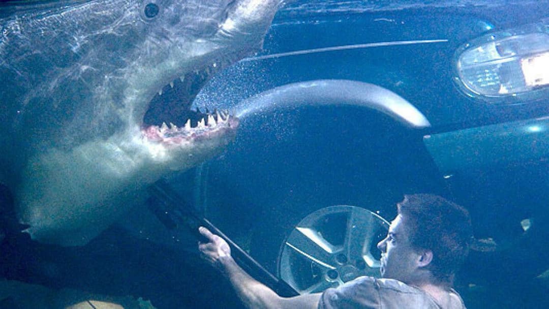 Bait - Haie im Supermarkt backdrop 10