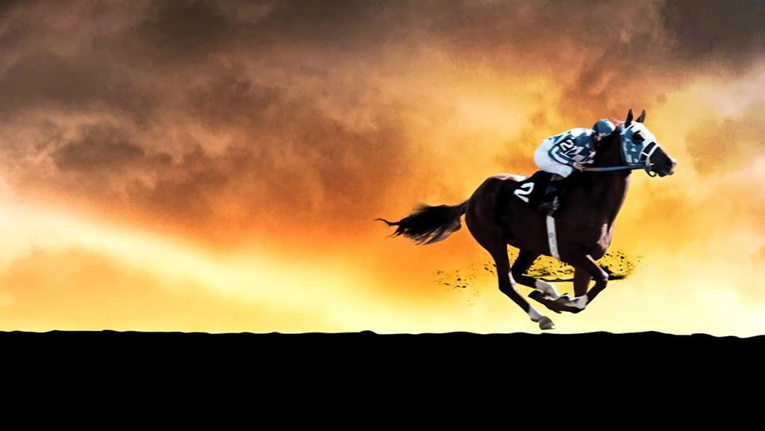 Secretariat backdrop 6