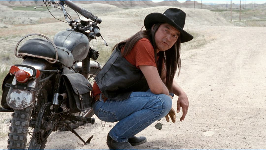 Halbblut backdrop 19