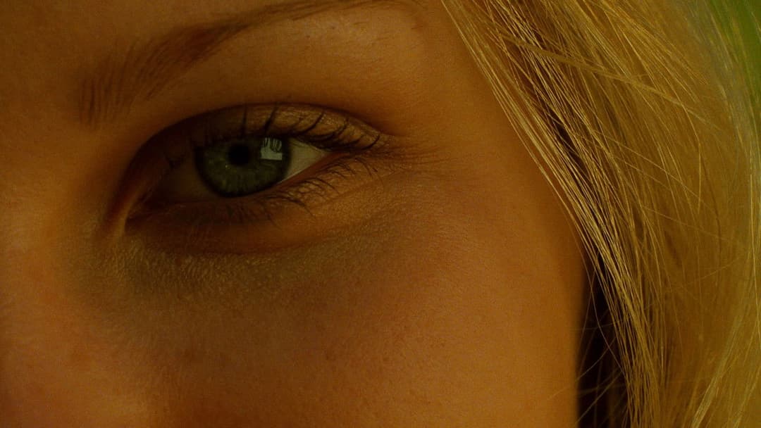 The Virgin Suicides backdrop 11