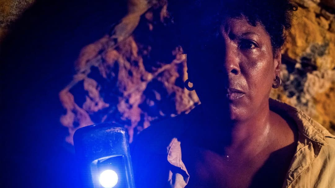 Yellow Cake backdrop 3