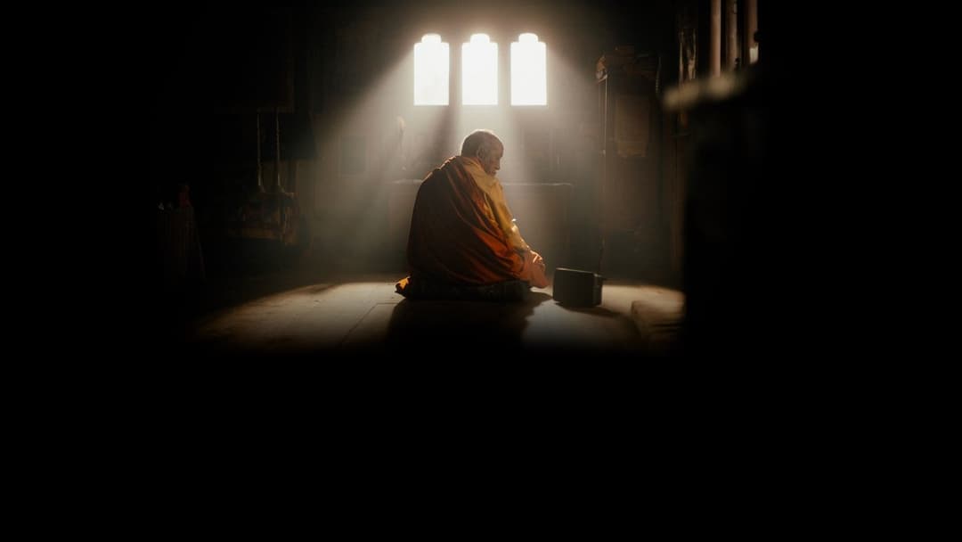 Was will der Lama mit dem Gewehr?